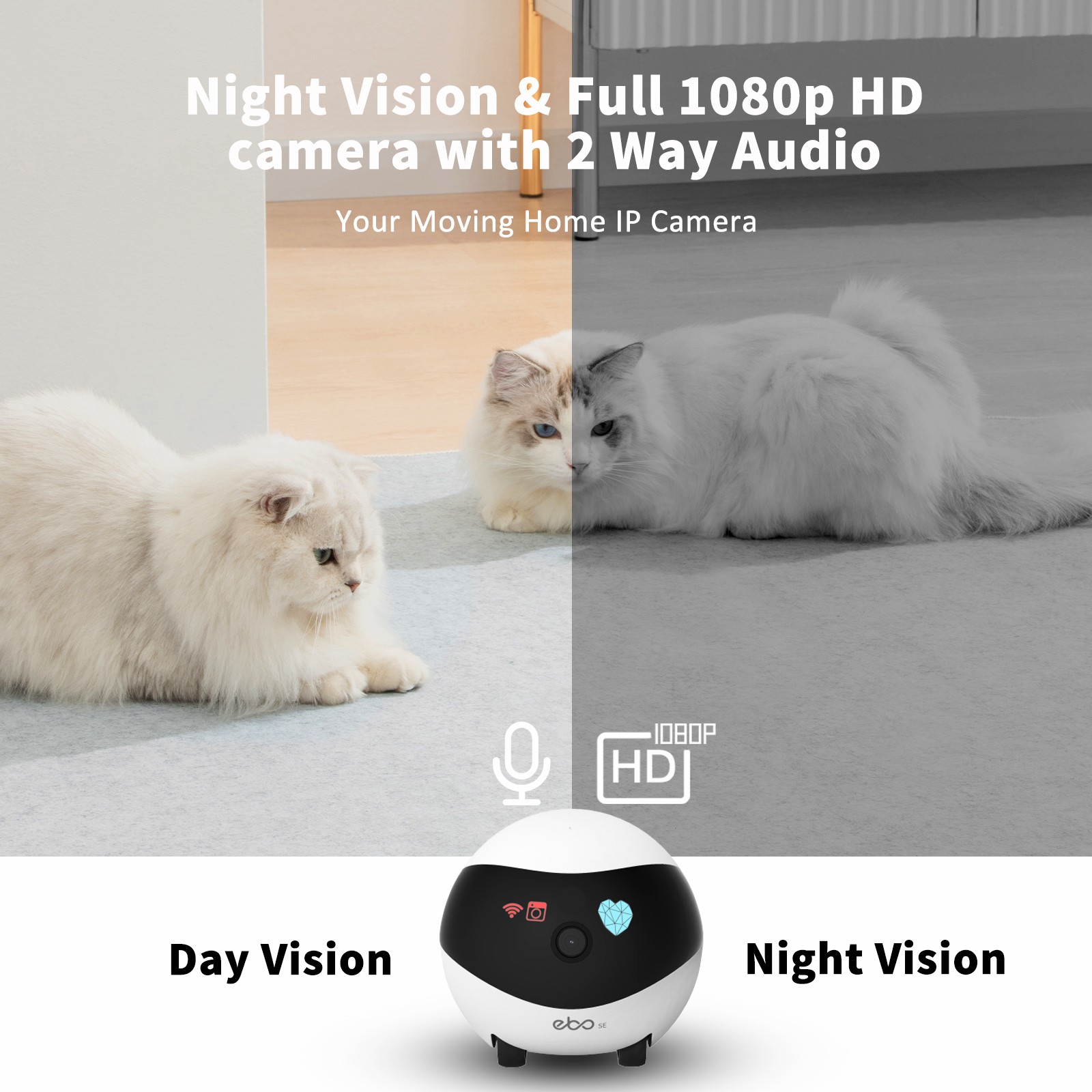 EBO SE Smart Home Robot Compan - огляд і ціна Home Security Robots