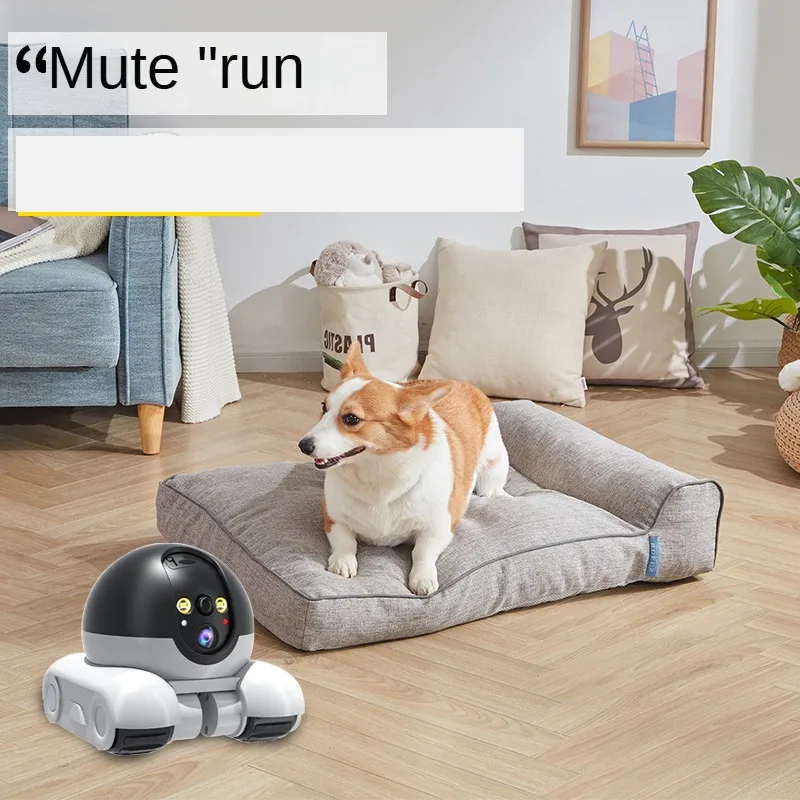 4MP IP Camera 5G WiFi Dual Len - огляд і ціна Home Security Robots