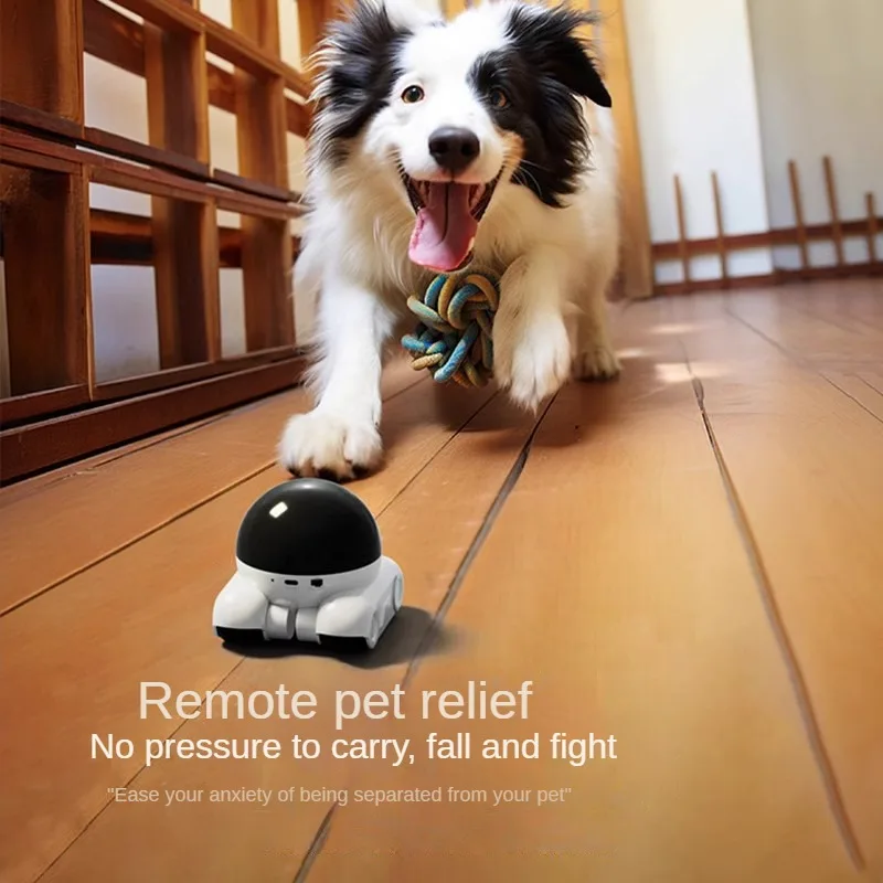 4MP IP Camera 5G WiFi Dual Len - огляд і ціна Home Security Robots