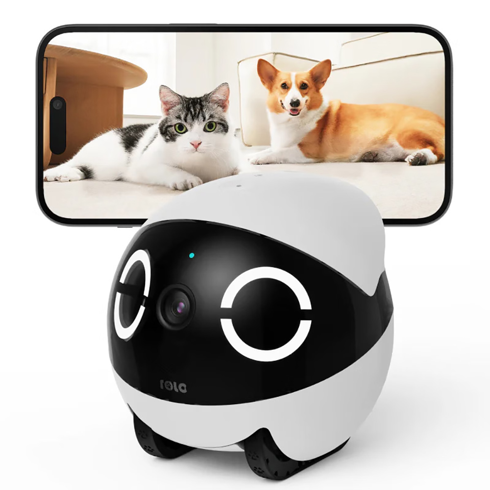 Home Security Pet Tumbler Desi - огляд і ціна Home Security Robots